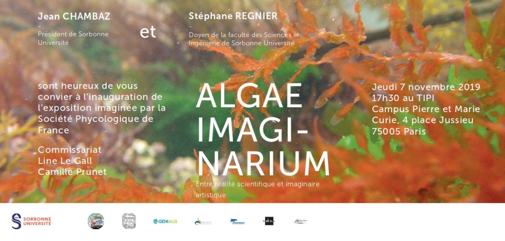 Algae Imaginarium
