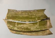 écouter le chant des herbiers de posidonies