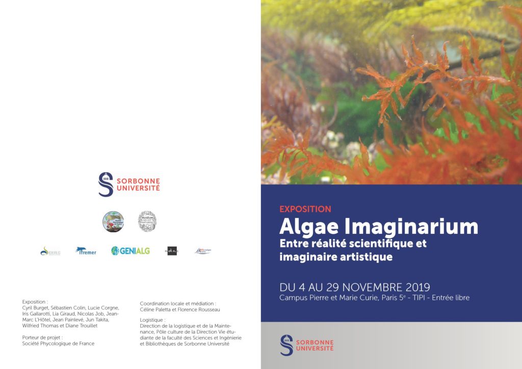 Algae Imaginarium