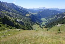 VOYAGE 74. Merci d’être passé par là. cadeau