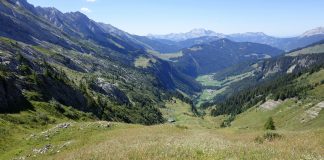 VOYAGE 74. Merci d’être passé par là. cadeau